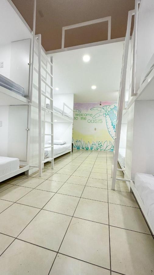 Sjo Oasis Hostel San José Exterior foto